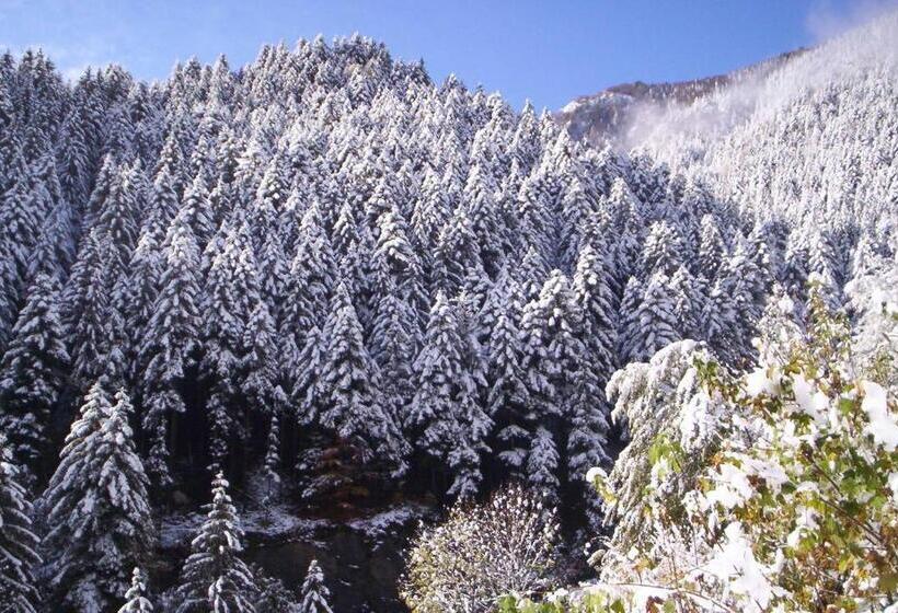 酒店 Albergo Ristorante Sole