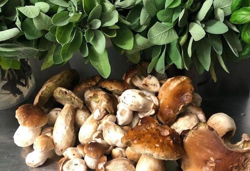 酒店 Albergo Ristorante Sole