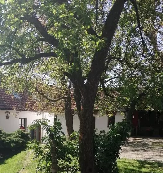 ユースホステル Keramický A Výtvarný Ateliér Konešín