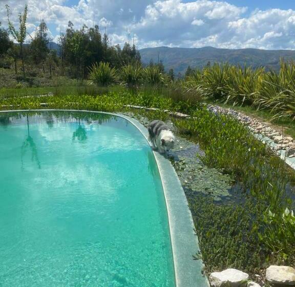 ベッドアンドブレックファースト Cdr Moderne Luxe En Spectaculair Uitzicht