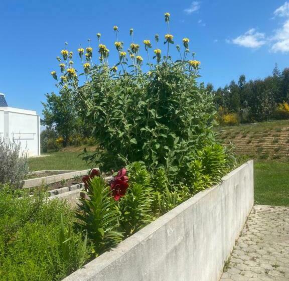 ベッドアンドブレックファースト Cdr Moderne Luxe En Spectaculair Uitzicht