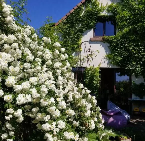 ベッドアンドブレックファースト Chambre D Hôtes De Charme, Un Temps En Forêt