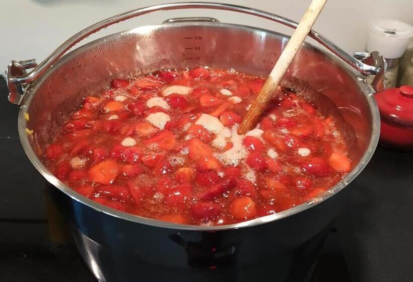 ベッドアンドブレックファースト La Bisquine