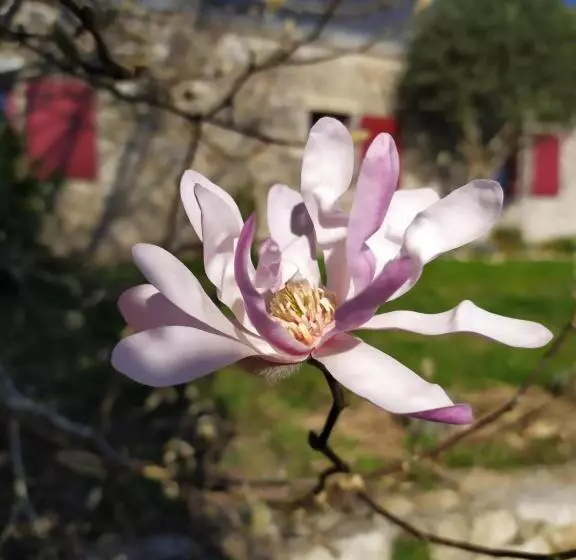 Aamiaismajoitus (B&B) La Bisquine