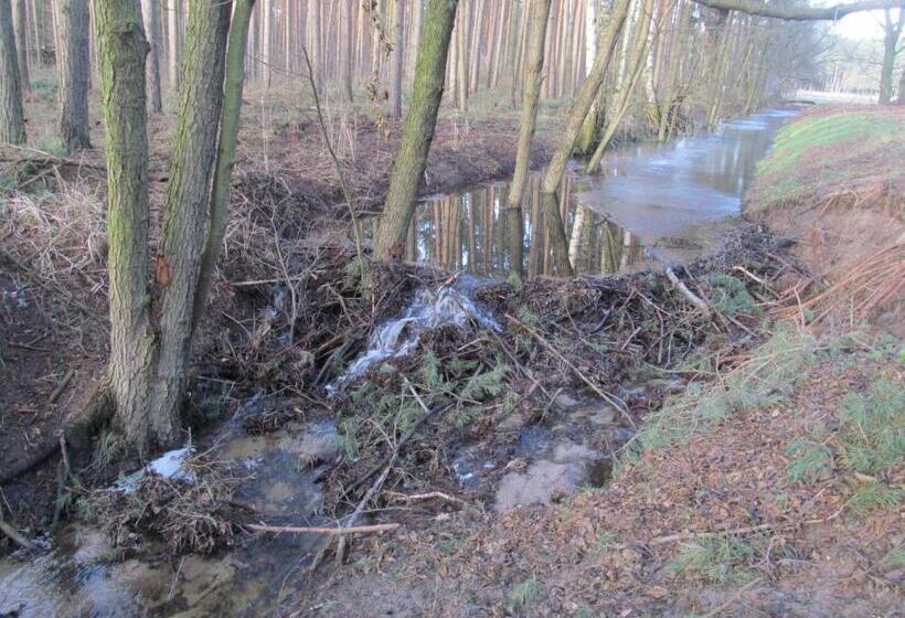 Gasthaus Und Pension Zum Biber