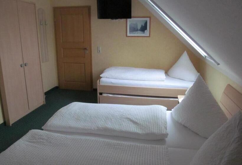 Gasthaus Und Pension Zum Biber