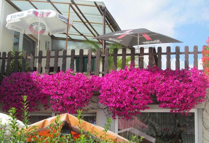 Gasthaus Und Pension Zum Biber