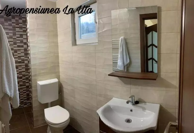ホテル Agropensiunea La Uța