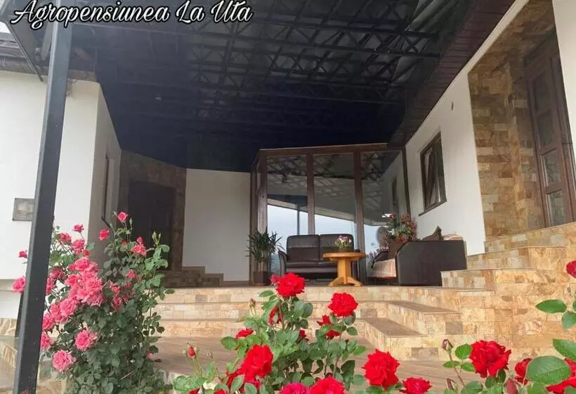 ホテル Agropensiunea La Uța
