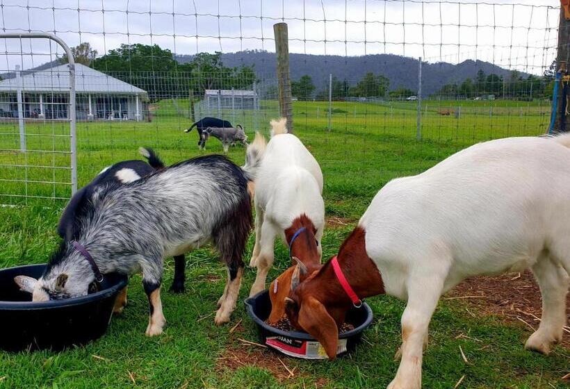 فندق Fig Tree Farm B&b Highvale Farmstay Near Brisbane!