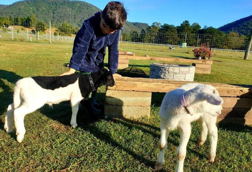 فندق Fig Tree Farm B&b Highvale Farmstay Near Brisbane!