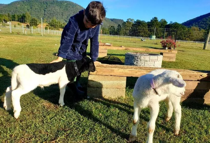 ホテル Fig Tree Farm B&b Highvale Farmstay Near Brisbane!