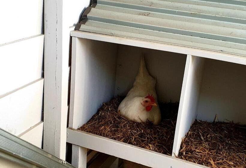 فندق Fig Tree Farm B&b Highvale Farmstay Near Brisbane!