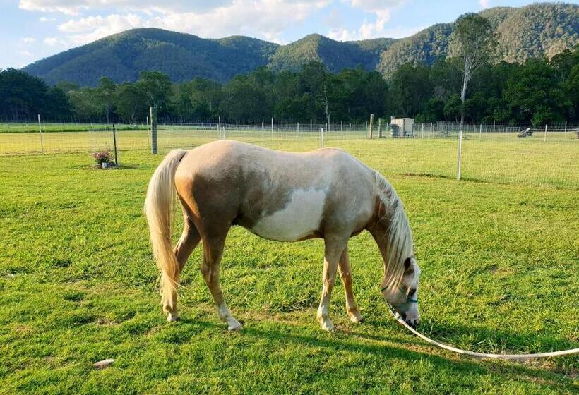 호텔 Fig Tree Farm B&b Highvale Farmstay Near Brisbane!