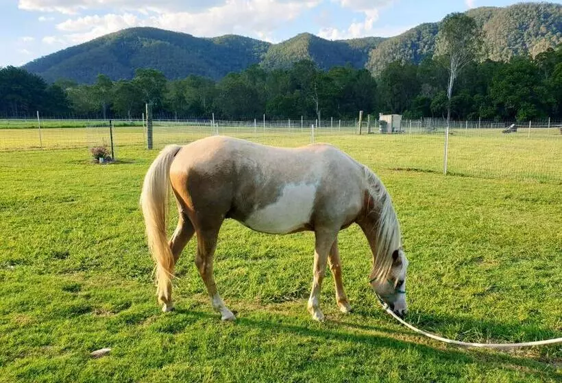 ホテル Fig Tree Farm B&b Highvale Farmstay Near Brisbane!