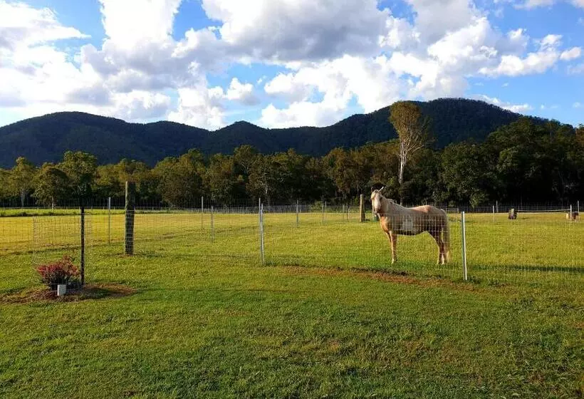 ホテル Fig Tree Farm B&b Highvale Farmstay Near Brisbane!
