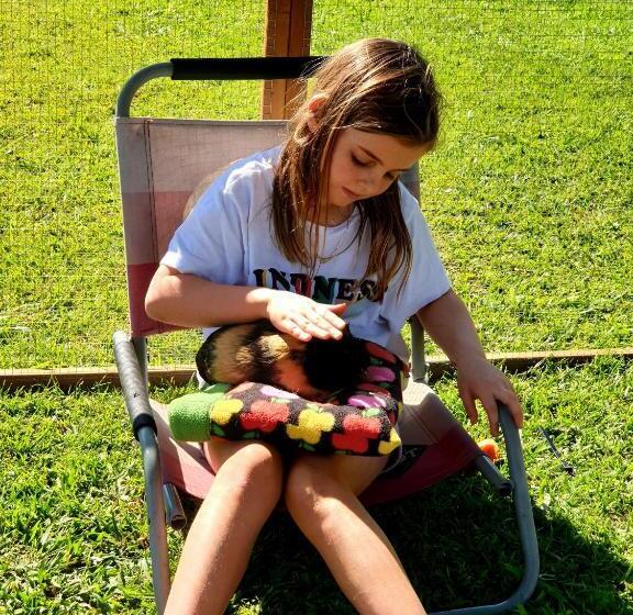 فندق Fig Tree Farm B&b Highvale Farmstay Near Brisbane!