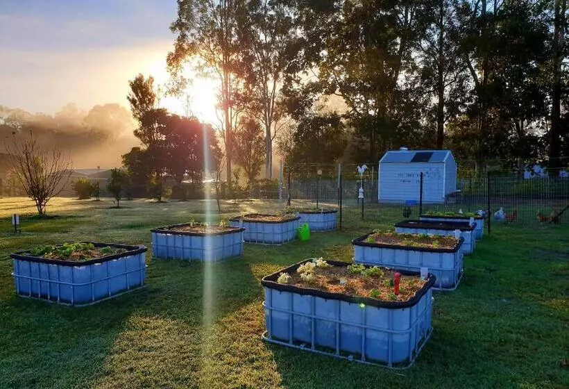 ホテル Fig Tree Farm B&b Highvale Farmstay Near Brisbane!