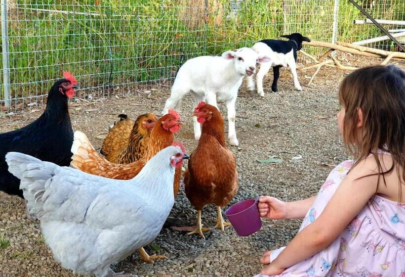 فندق Fig Tree Farm B&b Highvale Farmstay Near Brisbane!