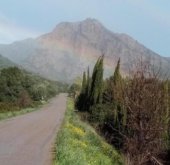 בית מלון כפרי Su Cappeddu Agriturismo