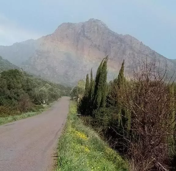 ホテル Su Cappeddu Agriturismo