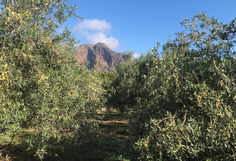 בית מלון כפרי Su Cappeddu Agriturismo