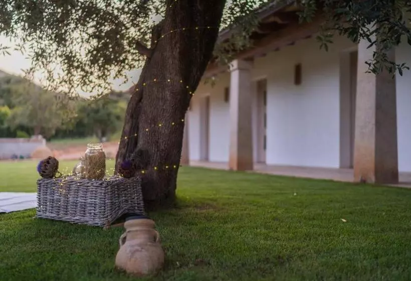 ホテル Su Cappeddu Agriturismo