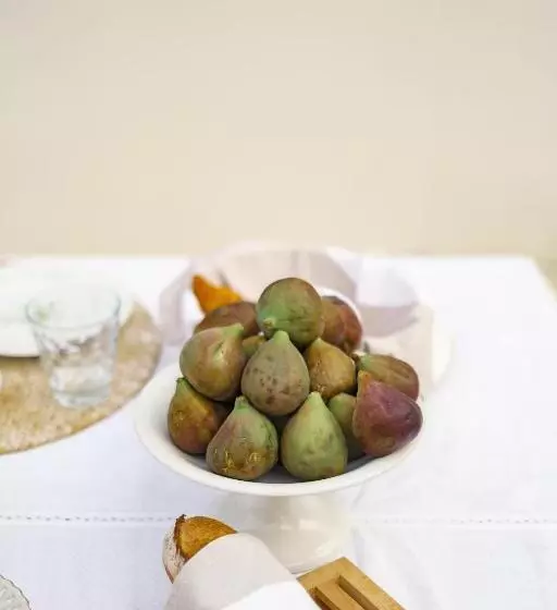 Majatalo A L Ombre Du Figuier