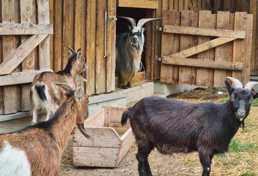 펜션 Gutshof Kämmerich