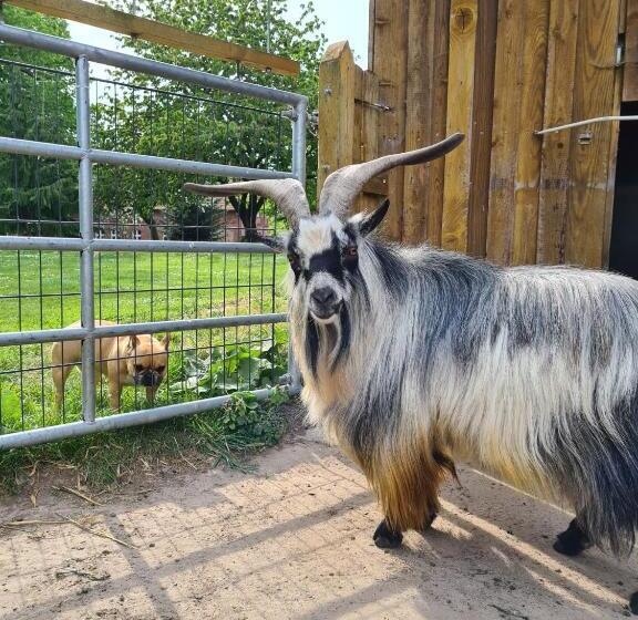 펜션 Gutshof Kämmerich