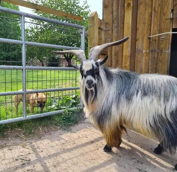 Majatalo Gutshof Kämmerich