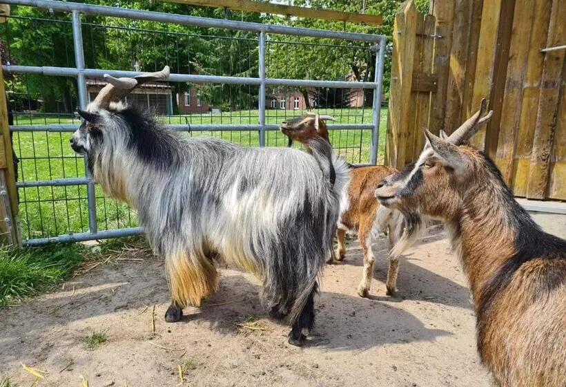 Majatalo Gutshof Kämmerich