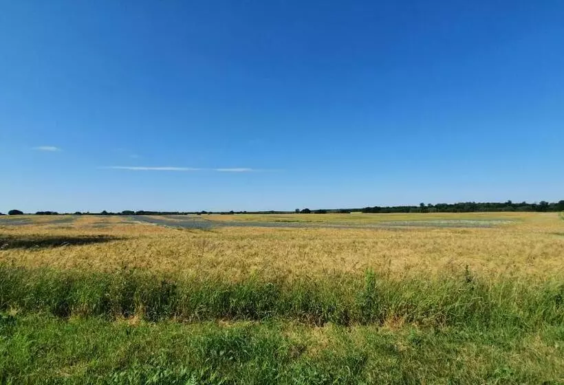 Majatalo Gutshof Kämmerich