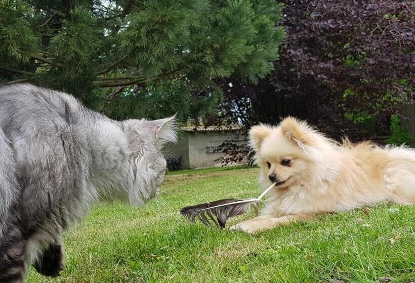 펜션 Gutshof Kämmerich