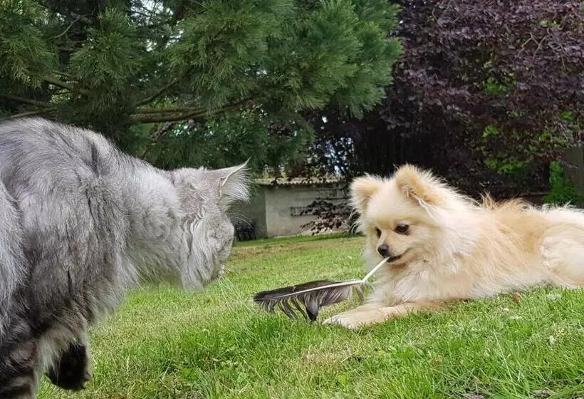 Majatalo Gutshof Kämmerich