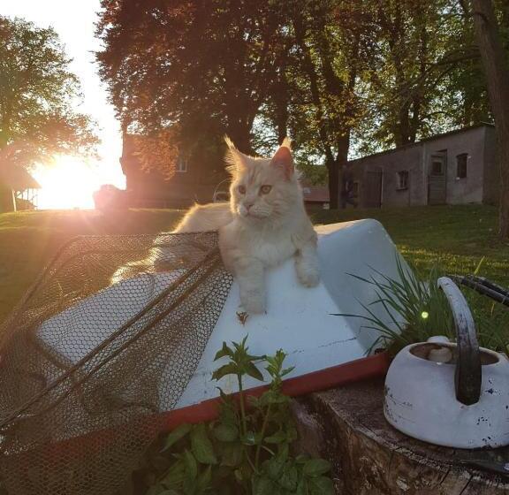 펜션 Gutshof Kämmerich