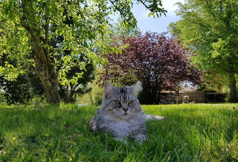 펜션 Gutshof Kämmerich