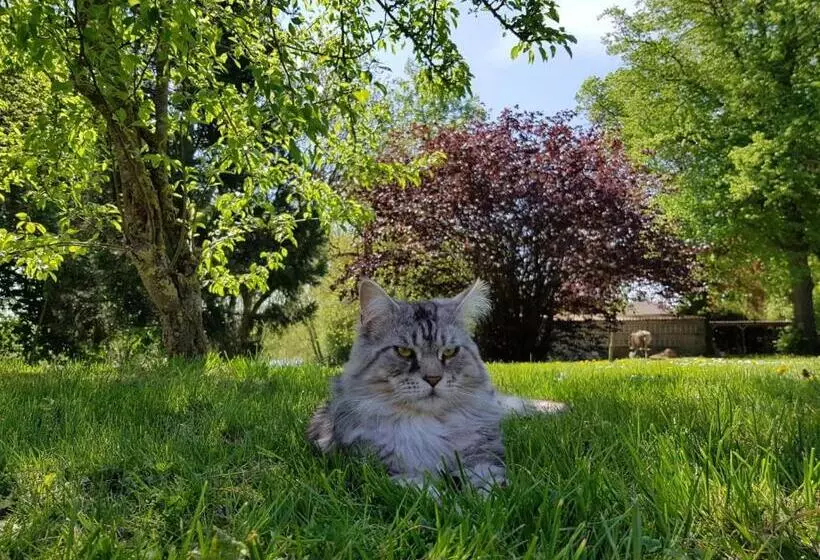 Majatalo Gutshof Kämmerich