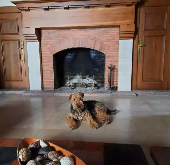 ペンション Le Clos Des Soyeux