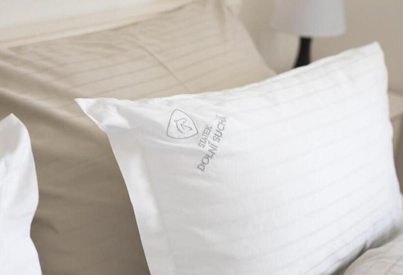 Panzió Statek Dolní Suchá