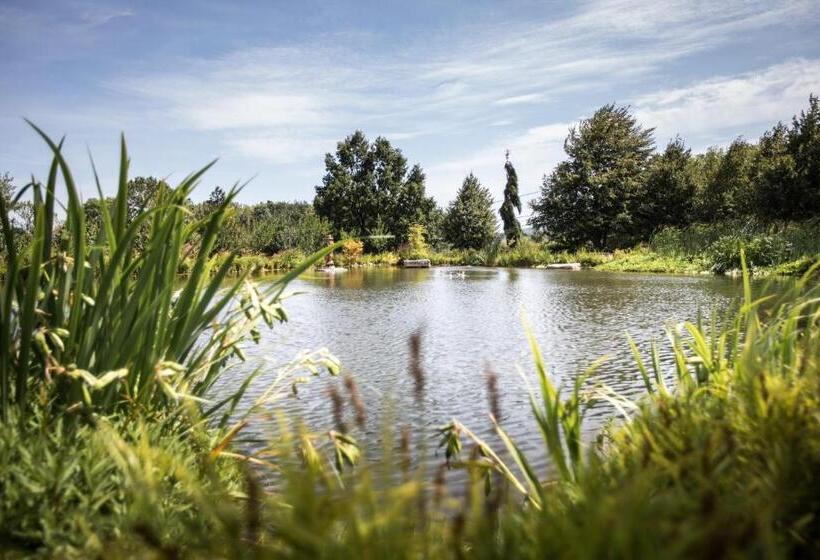 Panzió Statek Dolní Suchá