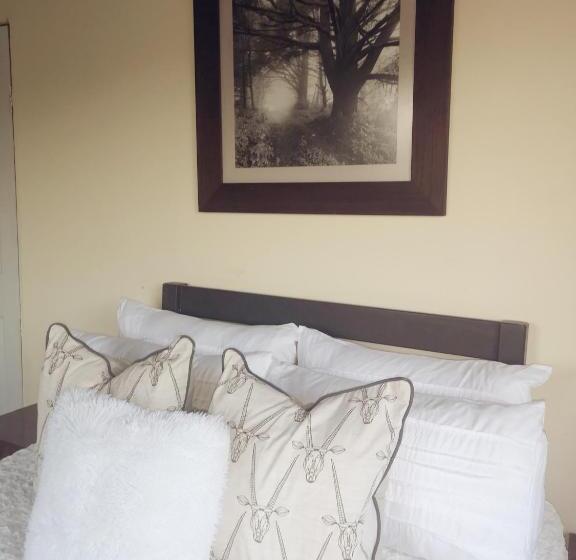 Пансион Thokazi Haven Guest House & Backpacker