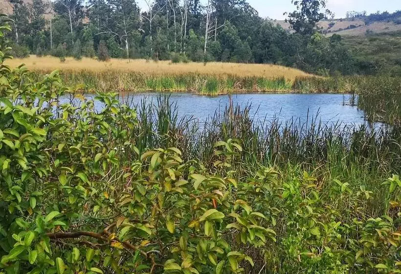 Majatalo Thokazi Haven Guest House & Backpacker