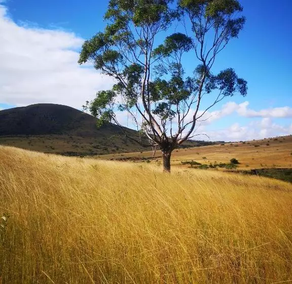 Majatalo Thokazi Haven Guest House & Backpacker