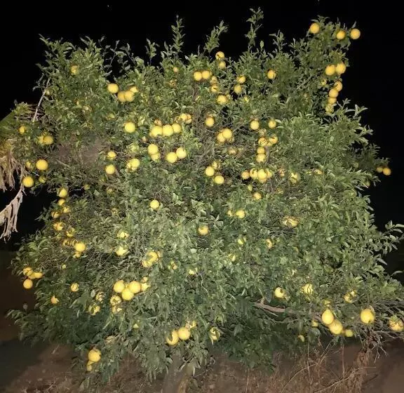 Majatalo Thokazi Haven Guest House & Backpacker