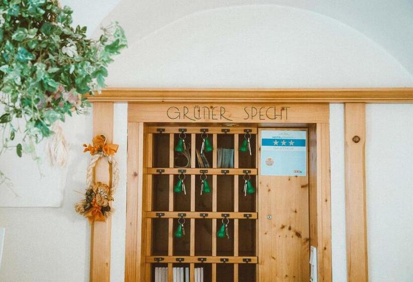 ユースホステル Gasthof Zum Grünen Specht