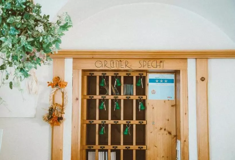 ユースホステル Gasthof Zum Grünen Specht