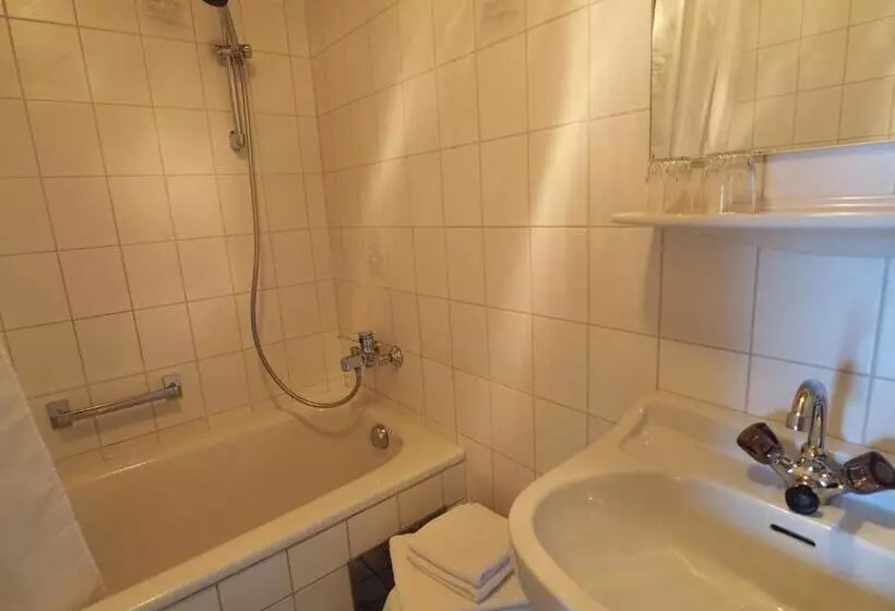 ユースホステル Gasthof Zum Grünen Specht