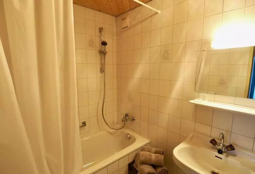 ユースホステル Gasthof Zum Grünen Specht