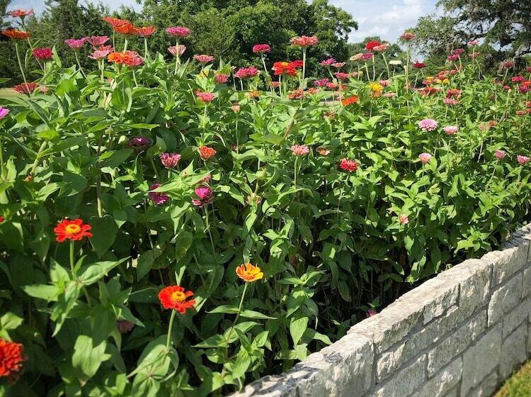 旅馆 Inn At Indian Creek